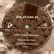 Broken Silence by Alaska