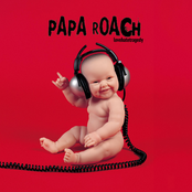 Singular Indestructible Droid by Papa Roach