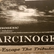 Escape The Tribulation