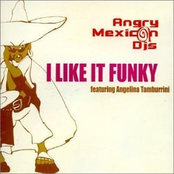 I Like It Funky