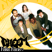 Fake Fans - Single