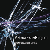 Stay Steady by Animal Farm Project
