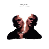 Zauntee: The Stonebrook Project