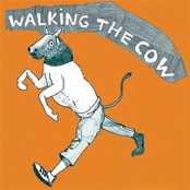 GENGIS KHAN vs SARAH CAT