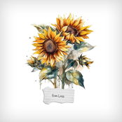 Conman Economy: From Loss