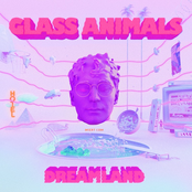 Glass Animals