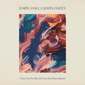 Daryl Hall: I Can't Go for That (No Can Do) [Pomo Remix]