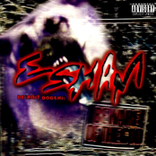 Acid by Esham