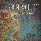 Sounds of Life - 432hz