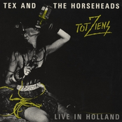 Tot Ziens: Live In Holland