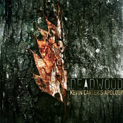 Deadwood (single, 2013)