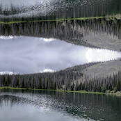 The Cloud Trap