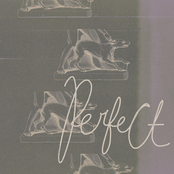 Perfect