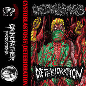 split w Deterioration