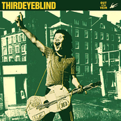 Third Eye Blind: Out of the Vein