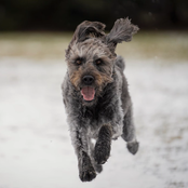 Tales From the Trail