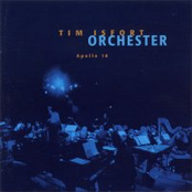 Absolute Activity by Tim Isfort Orchester