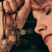 Shawn Colvin: Fat City