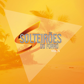 Solteirões do Forró, Vol. 5 (Ao Vivo)
