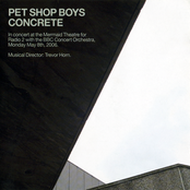 Nothing Has Been Proved by Pet Shop Boys