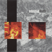 The Fear And The Anguish At The End