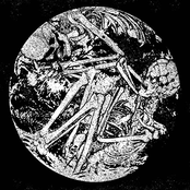 Memoirs of a Dying World