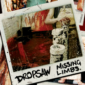 Missing Limbs by Dropsaw
