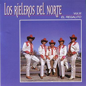 Engañosa Y Cobarde by Los Rieleros Del Norte