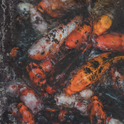 All Bets Are Off [Explicit]