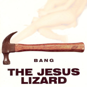 Wheelchair Epidemic by The Jesus Lizard