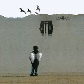 Pajaritos, bravos muchachitos