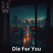 Die For You