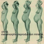 Metamorphic reproduction miracle