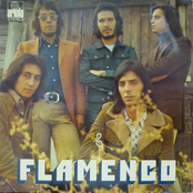 flamenco