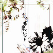 彩色蜂蜜パレット