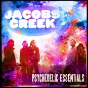 Psychedelic Essentials