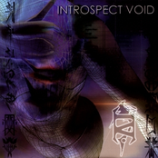 First by Introspect Void