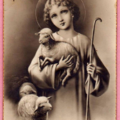 the lion and the lamb