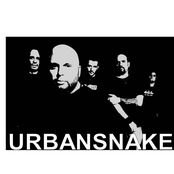 urbansnake