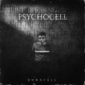 Downfall