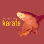 Strange Fruit by Karate