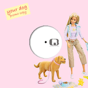 Your Dog [12"]
