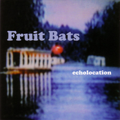 Filthy Water by Fruit Bats