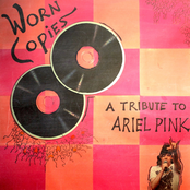 Worn Copies, A Tribute to Ariel Pink