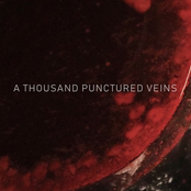 A Thousand Punctured Veins - Single