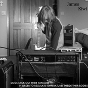 Dogs Stick Out Their Tongues In Order To Regulate Temperatures Inside Their Bodies