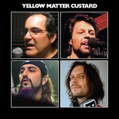 Paperback Writer by Yellow Matter Custard