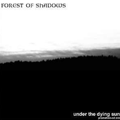 The Silent Cry by Forest Of Shadows