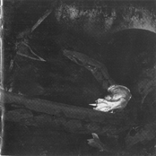 Ossos... Ódio & Angústia