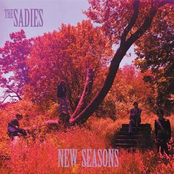 Sunset To Dawn by The Sadies